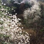 河内長野市のお気に入りの四季の風景