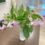 こうして講座が始まります